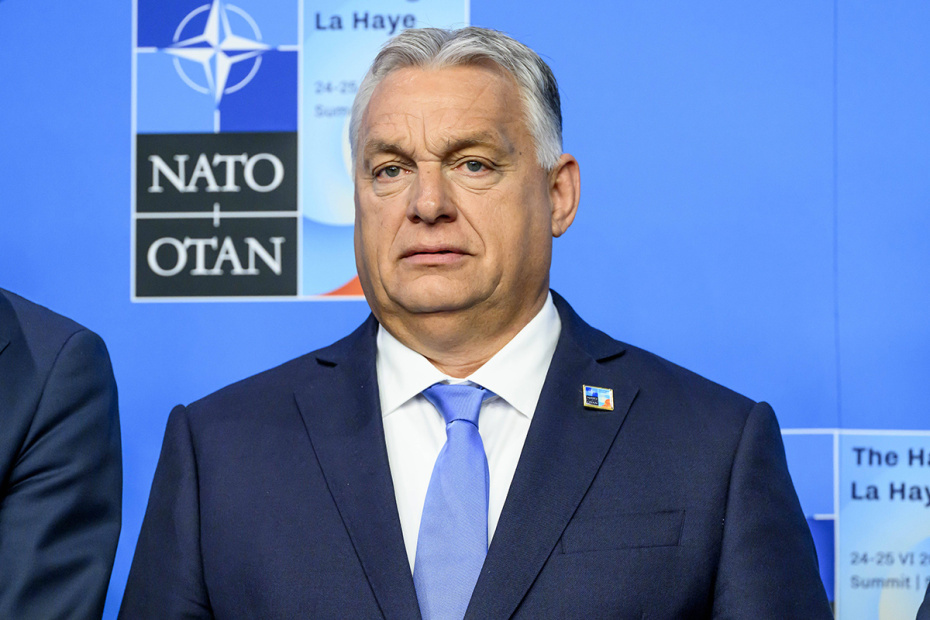    Patrick van Emst/IMAGO/Global Look Press