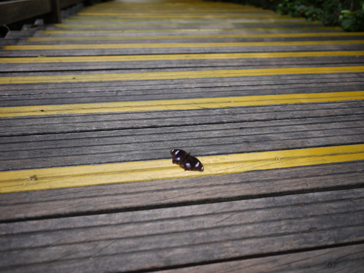 Источник: автор фотографии Лариса Красильникова 