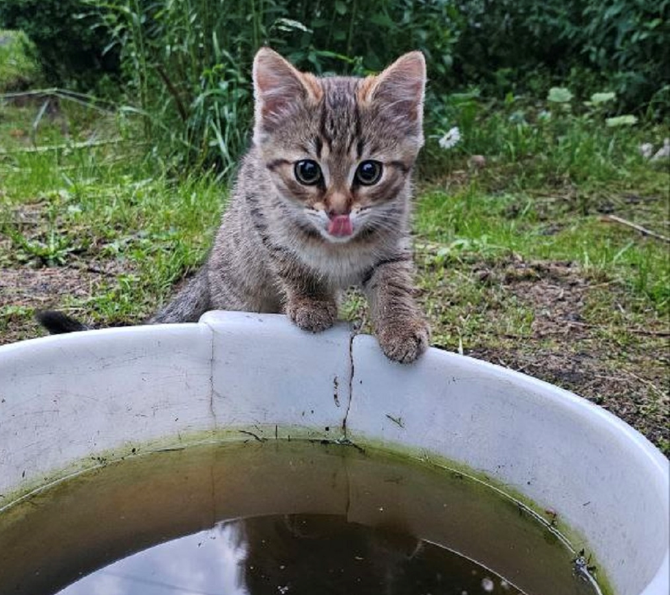 Все фото в статье из семейного архива