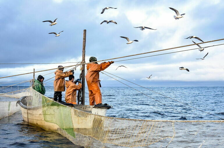   Денис Кожевников/ТАСС