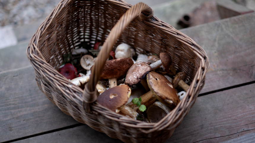    Фото: ИЗВЕСТИЯ/Сергей Виноградов