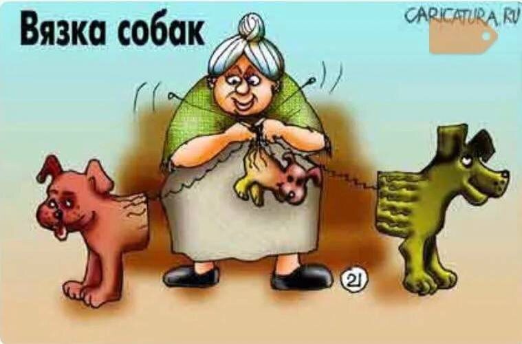 Сегодня свяжу дворняжку:)