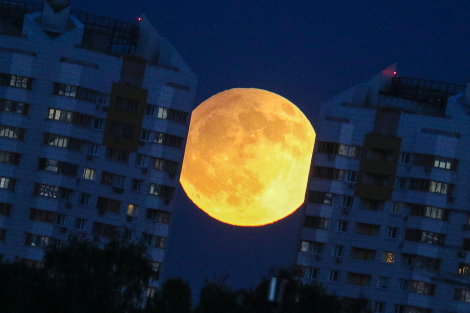    Сергей Булкин/NEWS.ru