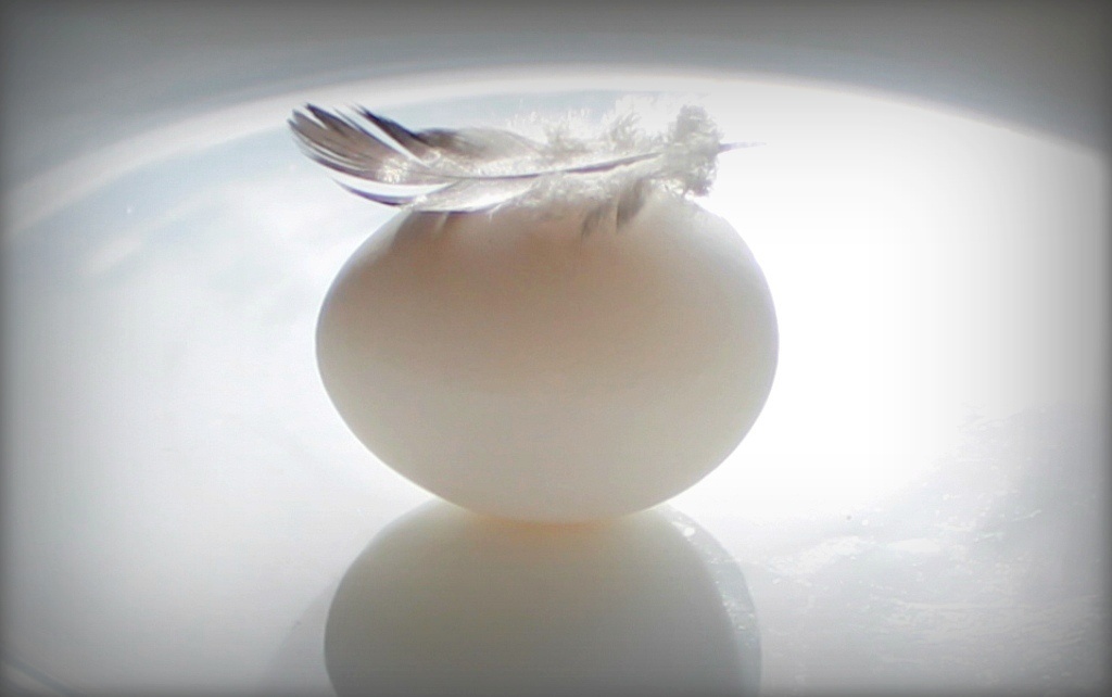 Из личного фотоархива