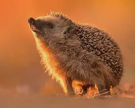 Поставь лайк!