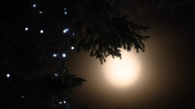     Луна, месяц. Дмитрий Лямзин