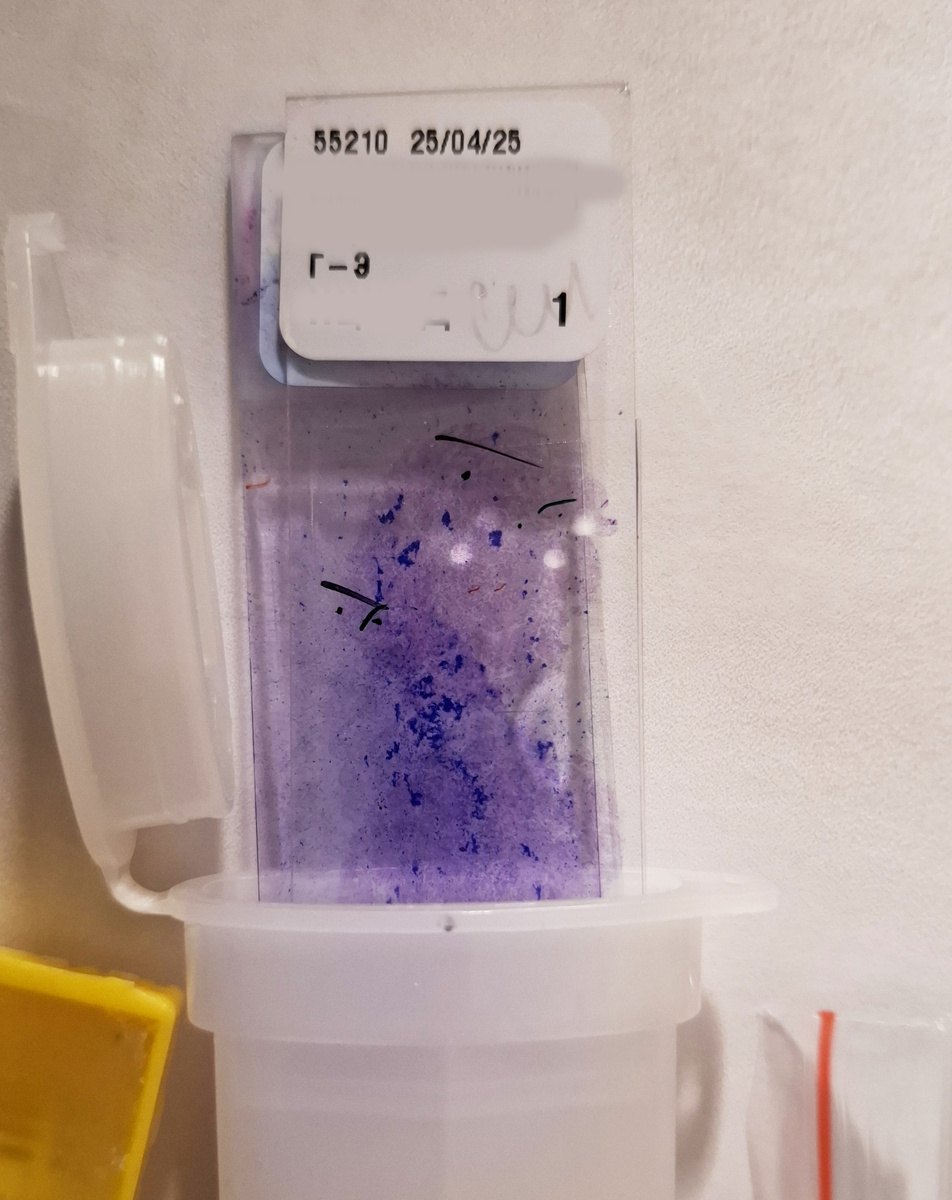 Так выглядят те самые стекла