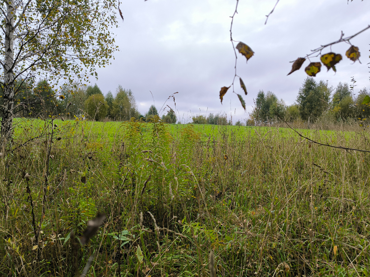 11 числа пересниму это фото получше