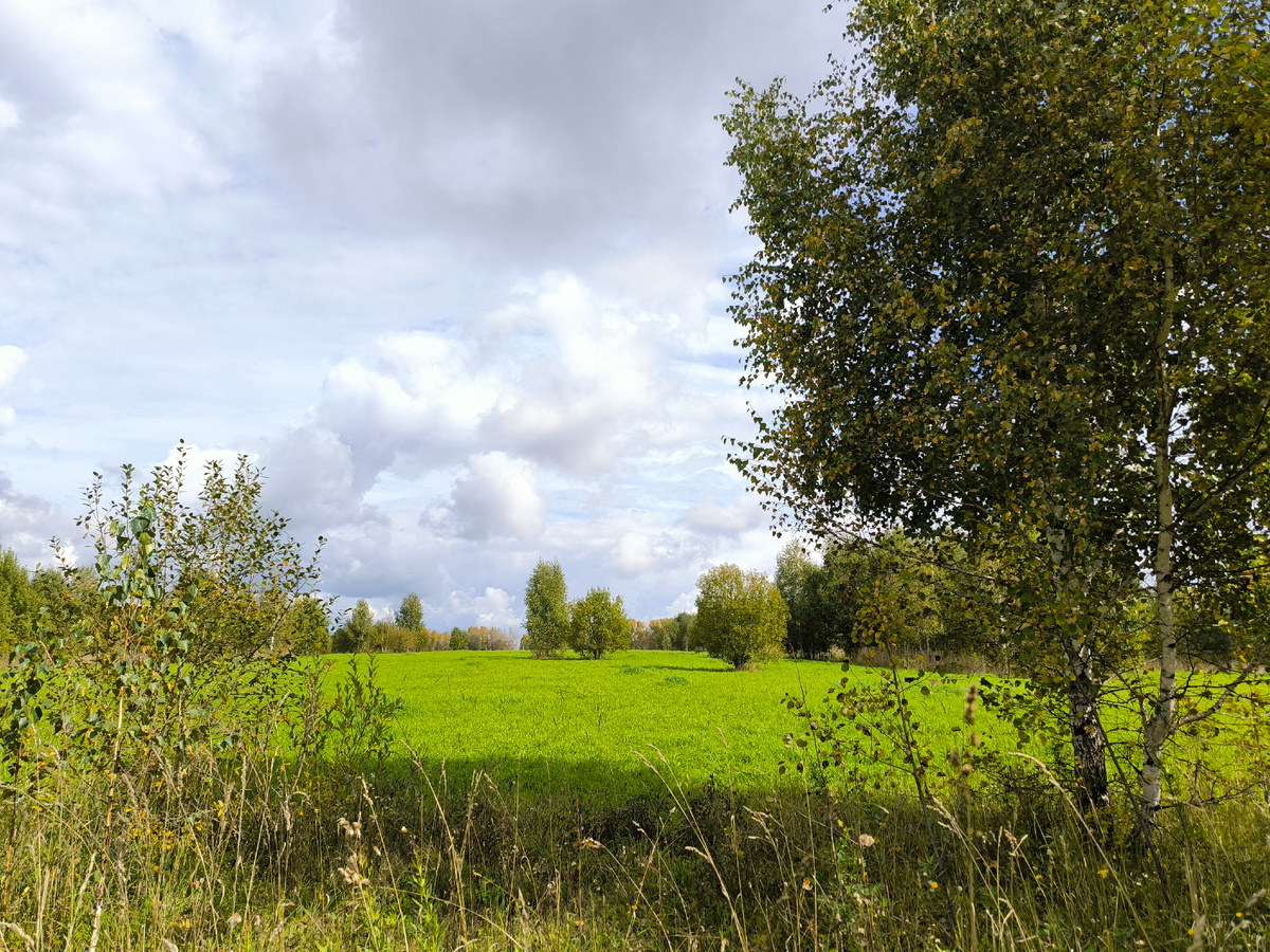 Вот и осень