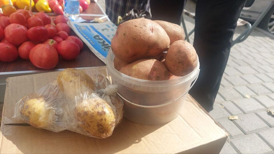    Картофель на рынках и в магазинах, сентябрь 2025. Источник: Толк