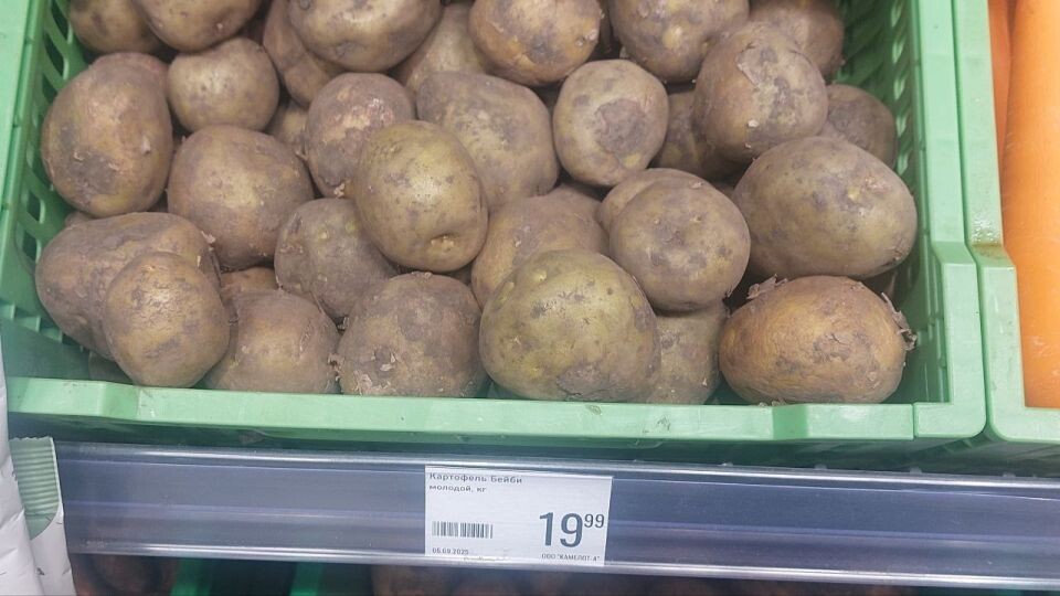    Картофель на рынках и в магазинах, сентябрь 2025. Источник: Толк