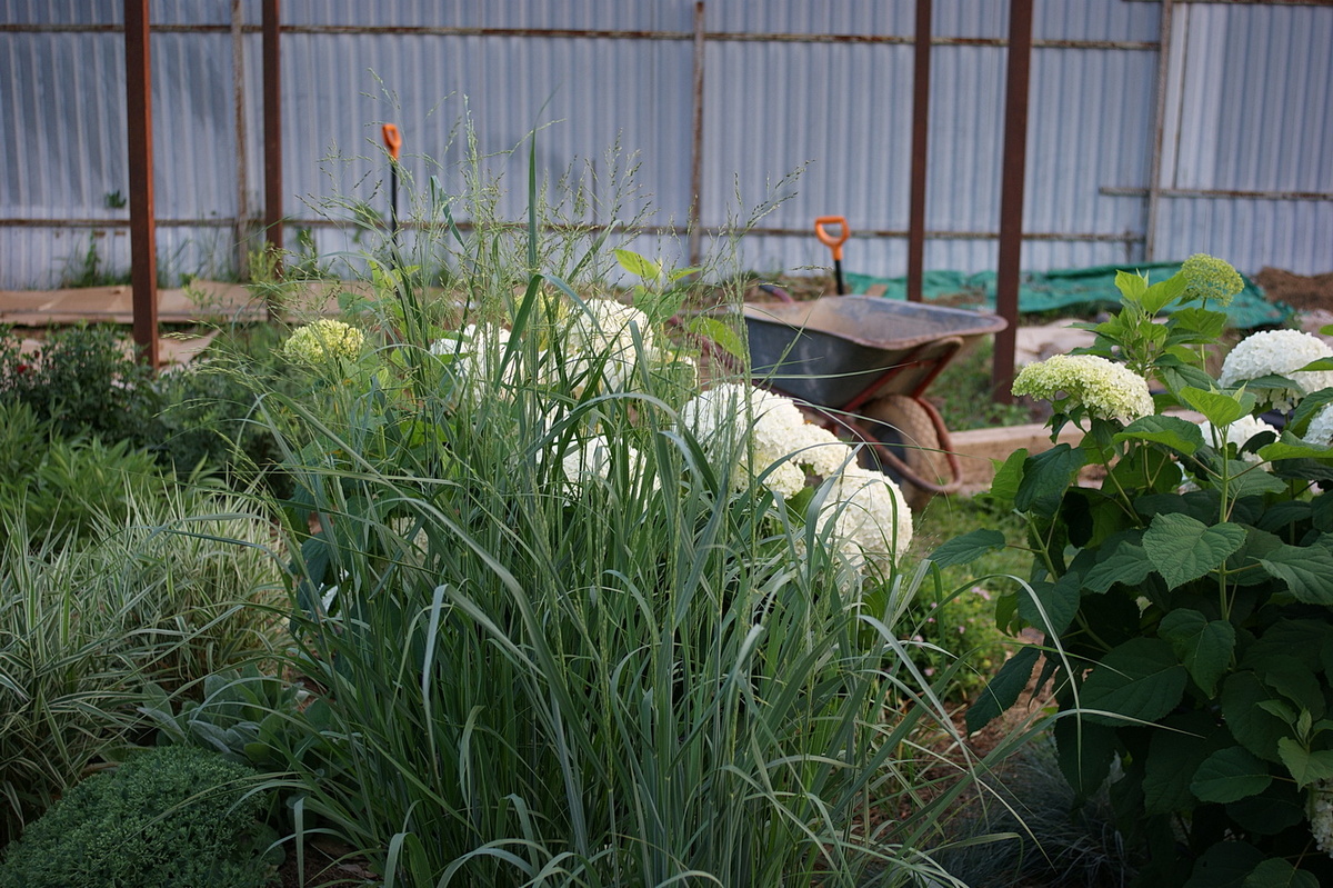 Ещё телегу надо новенькую, старые совсем плохи, скоро совсем развалятся от нагрузки. 
