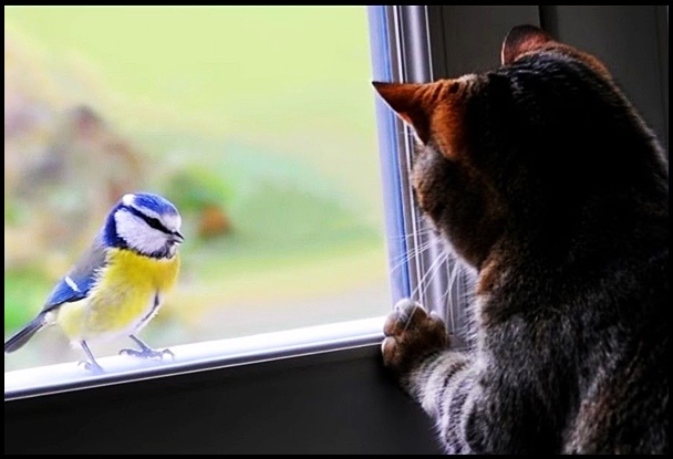 Фото взято из открытого источника