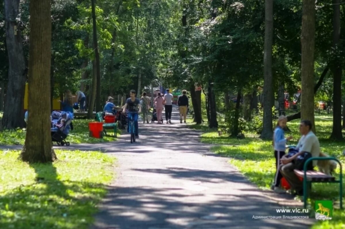    Владивосток начал благоустраивать северную часть парка имени Сергея Лазо
