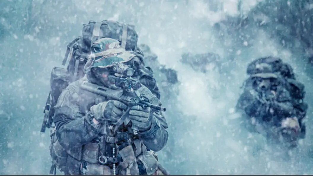    Фото: Getmilitaryphotos/Shutterstock