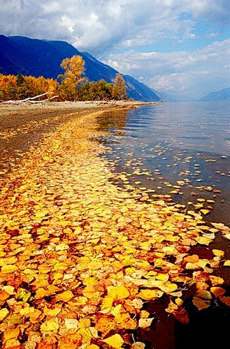 Фото: Туркомплекс Золотое озеро