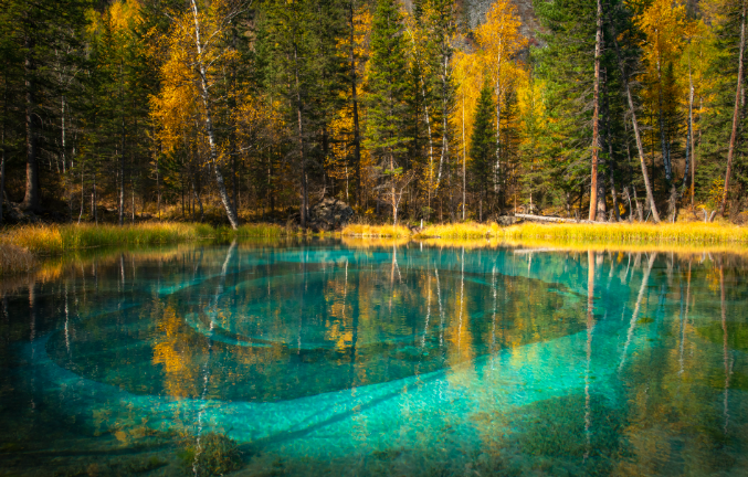 Фото с Векипедии