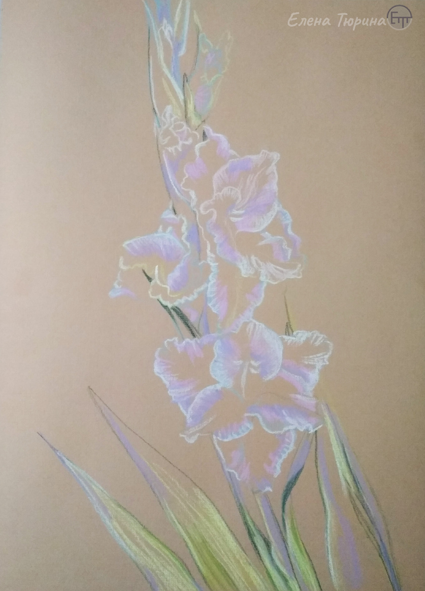 Художник Елена Тюрина. Рисунок композиции "Гладиолус". Бумага. Сухая пастель. 2020 г. Размер: 41,8х29,7 см.