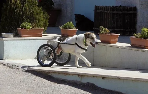 Я после хорошей сесии растяжки. Пойму, если дальше вы перестанете читать