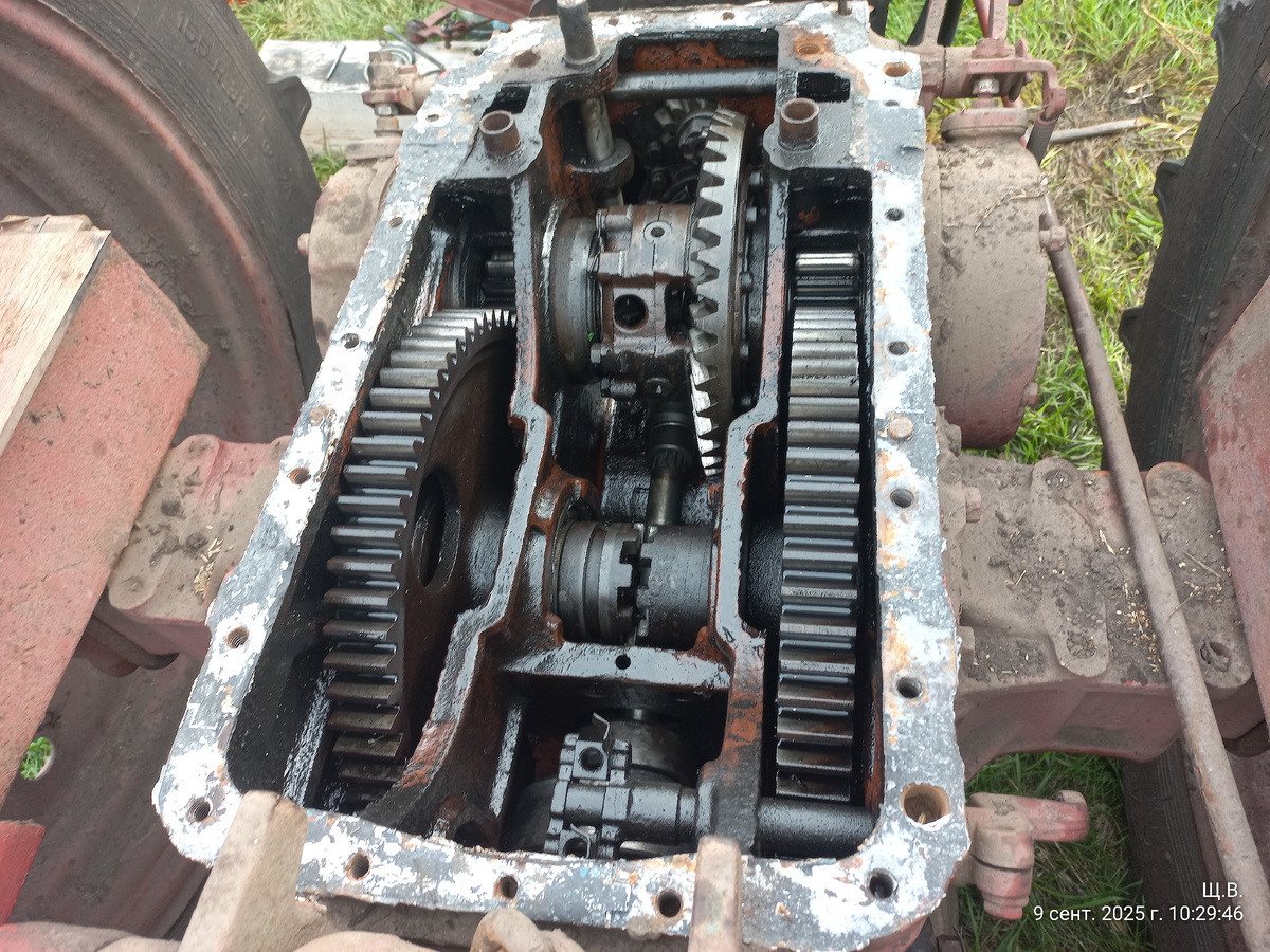 тракторный ливер)))