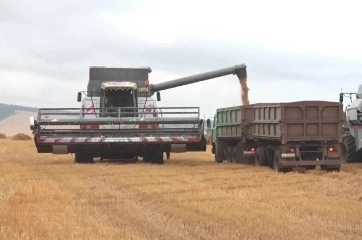    Зерно из Красноярского края отправили в Беларусь, Китай и другие страны