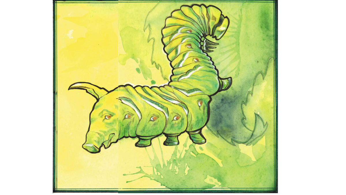 Гусеница махаона