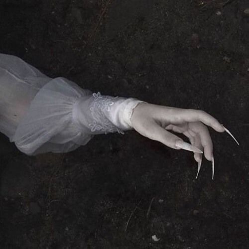 Изображение взято из открытых источников интернета. 