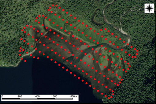 Рисунок 1 – Центры фотографирования камеры БПЛА DJI Matrice 30T в процессе
проведения аэрофотосъемки мелководья Камгинского залива в районе устья реки Камга
25 сентября 2024 г. (Подложка – коллаж спутниковых снимков ESRI ArcGIS Imagery). 