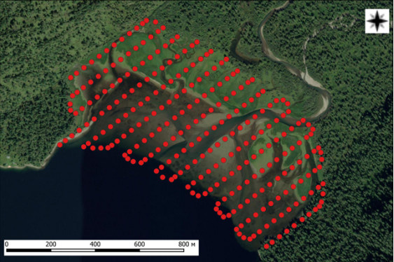 Рисунок 2 – Центры фотографирования камеры БПЛА DJI Matrice 30T в процессе
проведения аэрофотосъемки мелководья Камгинского залива в районе устья реки Камга
7 октября 2024 г. (Подложка – коллаж спутниковых снимков ESRI ArcGIS Imagery). 