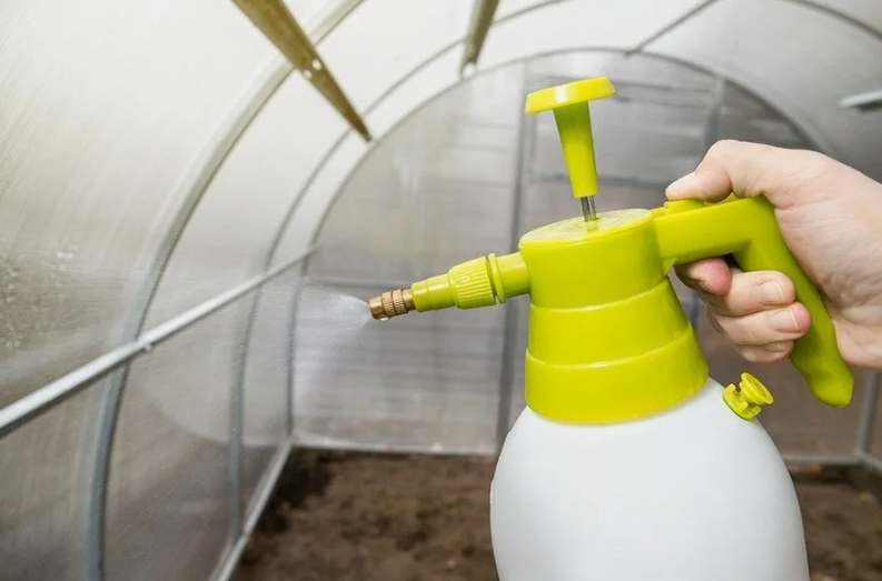 Ни вредителей, ни болезней в теплице не будет после такой обработки. Важно не только чем, но и как обработать