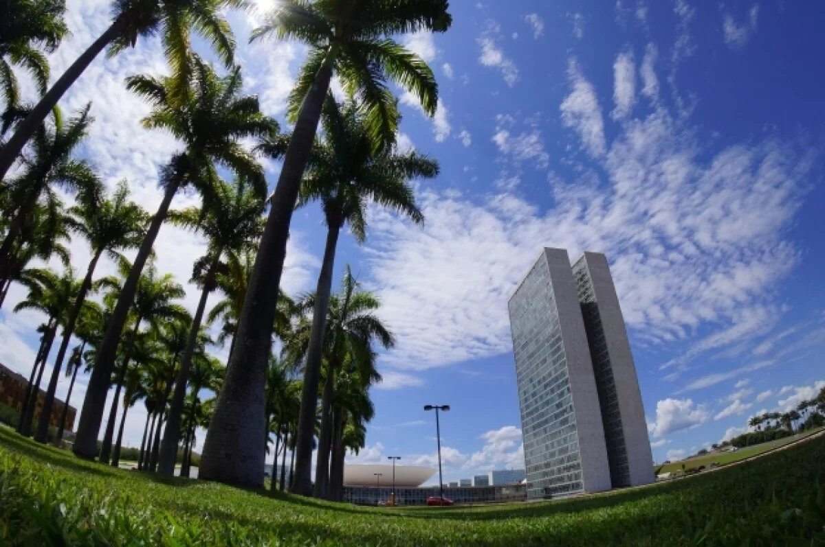    Бразилия призвала Израиль прекратить военные действия