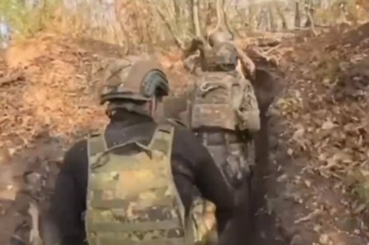    На Украине могут воевать несколько тысяч латиноамериканских наемников ВСУ