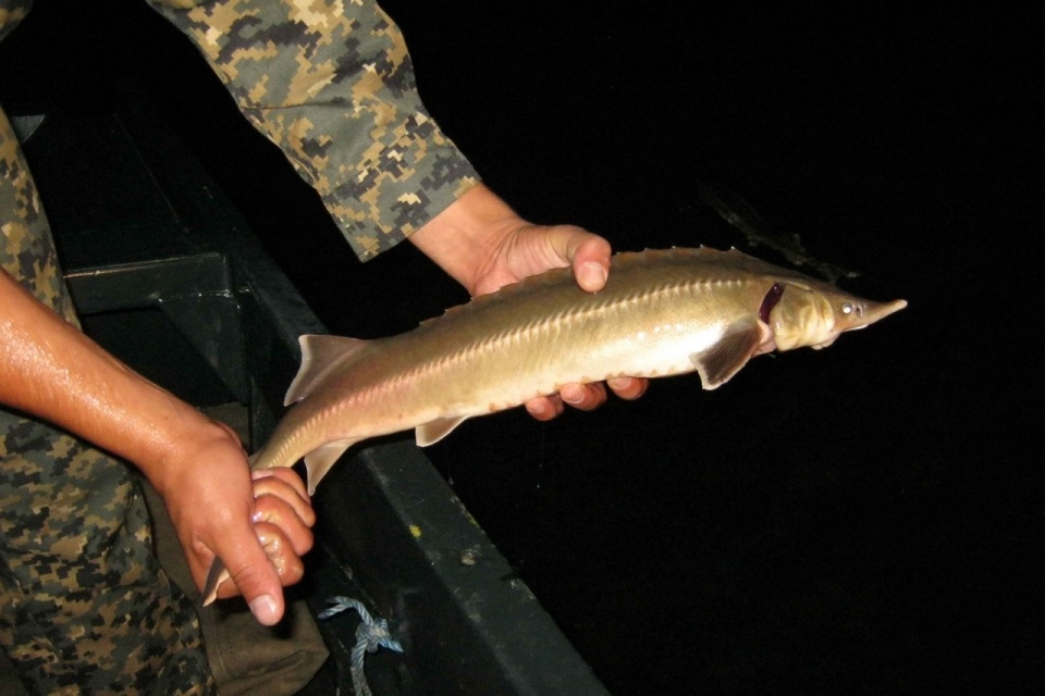 Изображение взято с сайта https://inbusiness.kz/uploads/31/images/bYN7pVgi.jpg