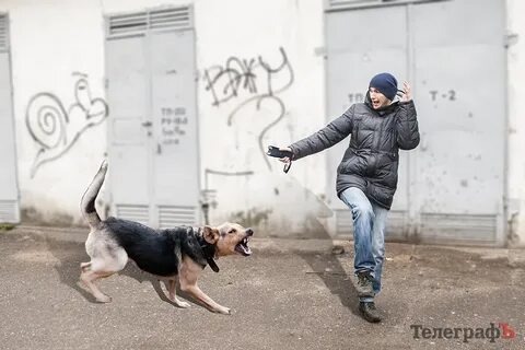 Фото со свободных источников