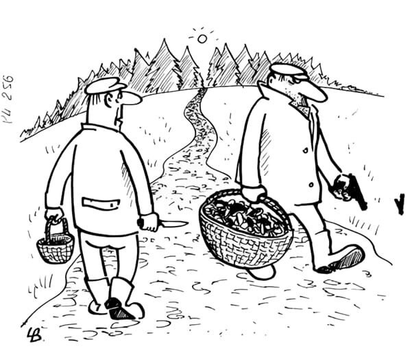 Из открытых источников.