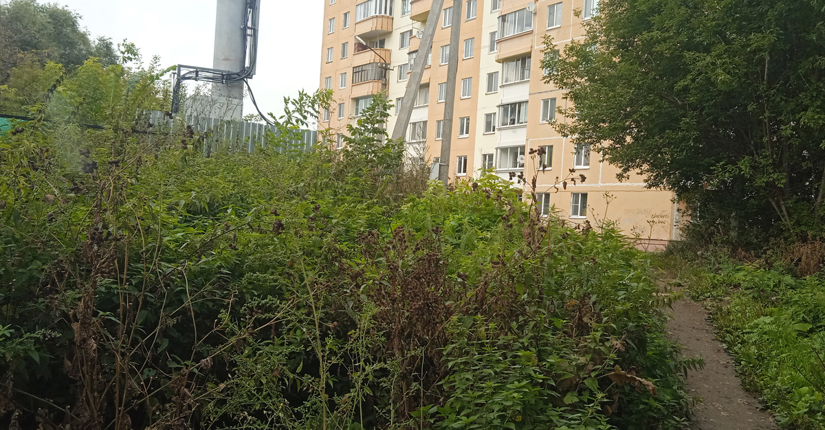 Исчезающая тропинка - то лужи, то заросли