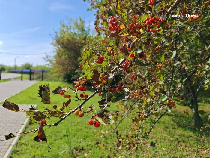     Фото: Города Лайф