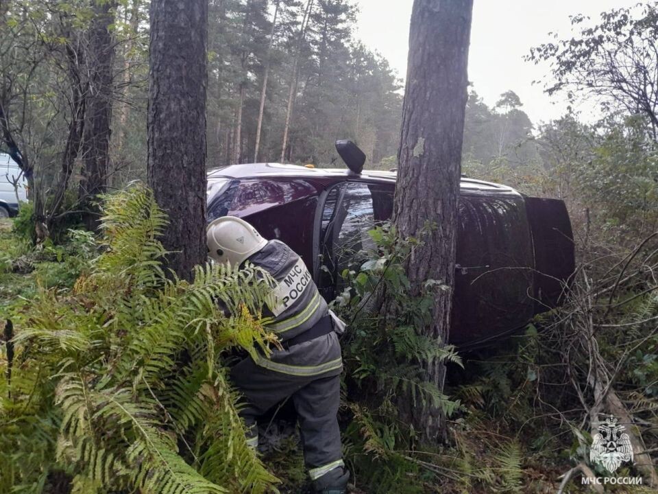   ДТП в Республике Алтай. Источник: МЧС Республики Алтай