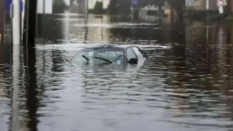    Фото: Sabina Zak/Shutterstock/Fotodom