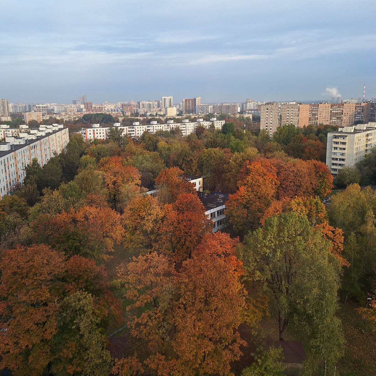 Фото автора. 