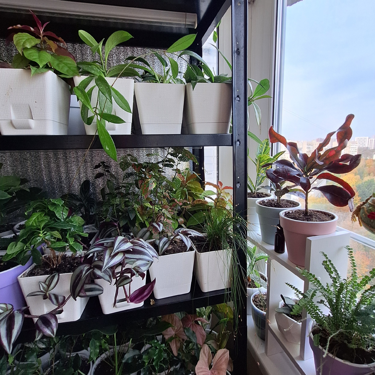 Фото автора.