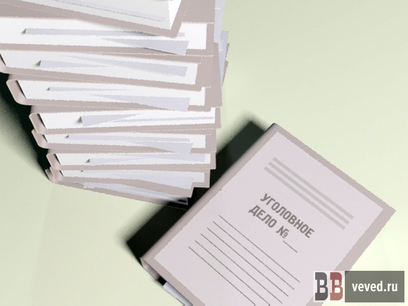     Иллюстрация: Андрей Гоголев / Вечерние ведомости