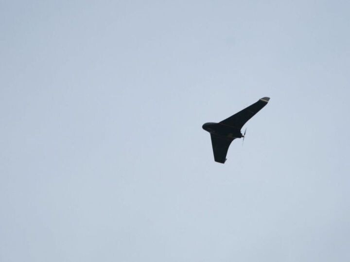    Фото: freepik.com