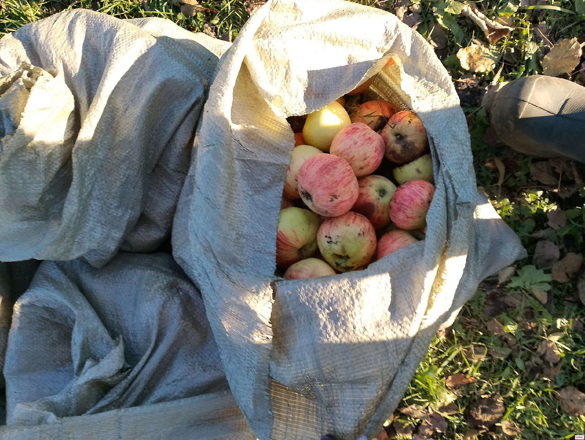 Фото интернета