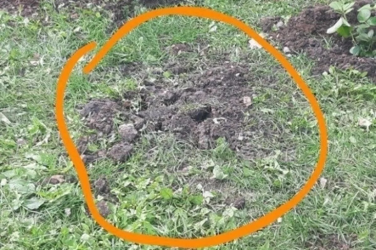    Фанаты Шатунова заявили, что найдут укравших белые розы в Уфе