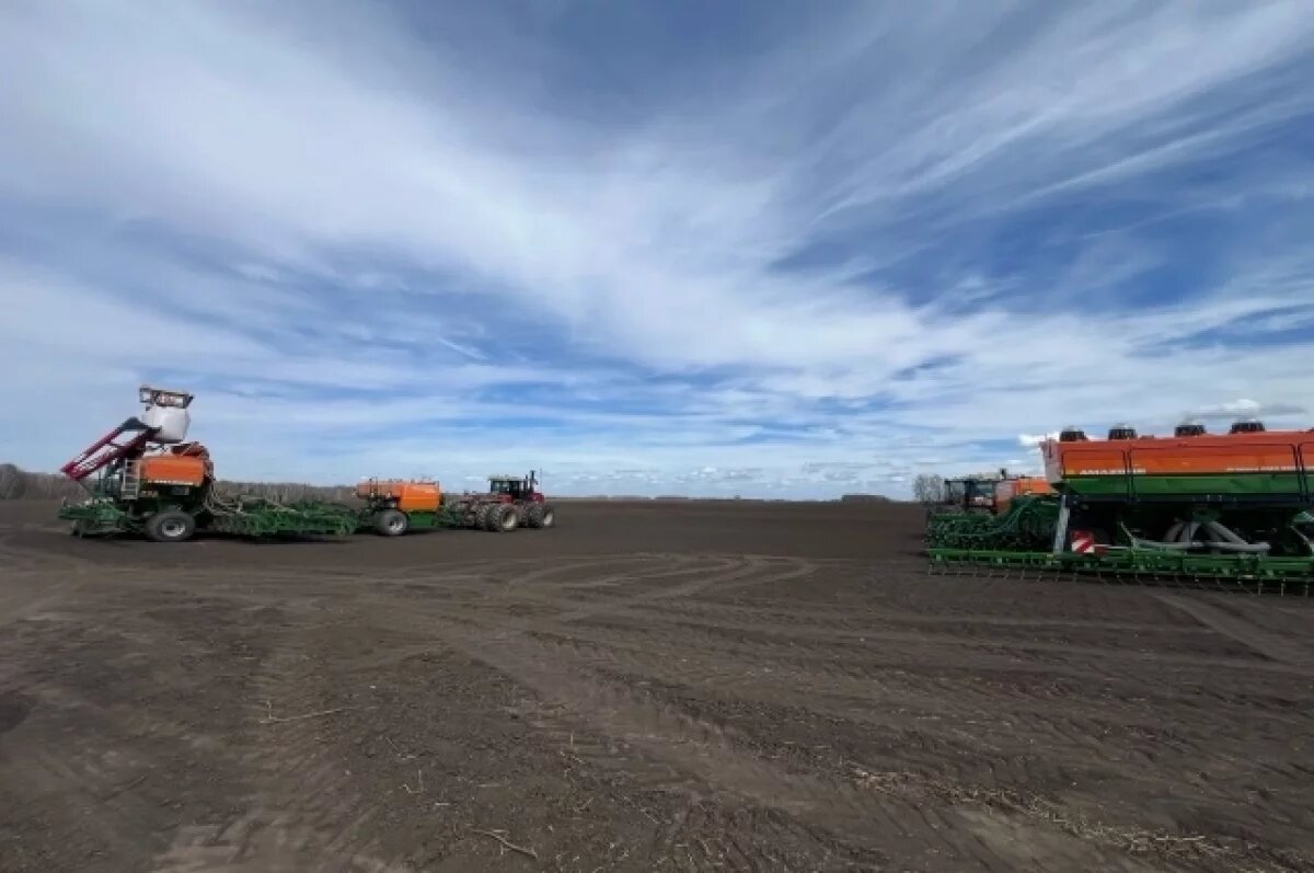    Уборочная кампания в Томской области перешагнула за экватор