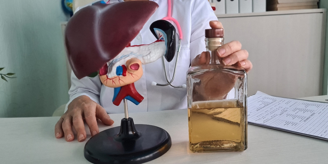 Как алкоголь разрушает печень: всё о стеатогепатите