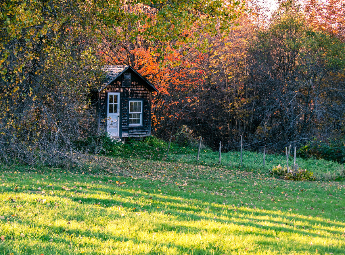 Должны учитываться обстоятельства непреодолимой силы (чрезвычайные ситуации, стихийные бедствия), а также ограничения, наложенные судом или иными органами власти. В таких случаях сроки могут быть приостановлены.
