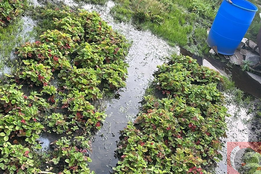    Фото предоставлено героями публикации