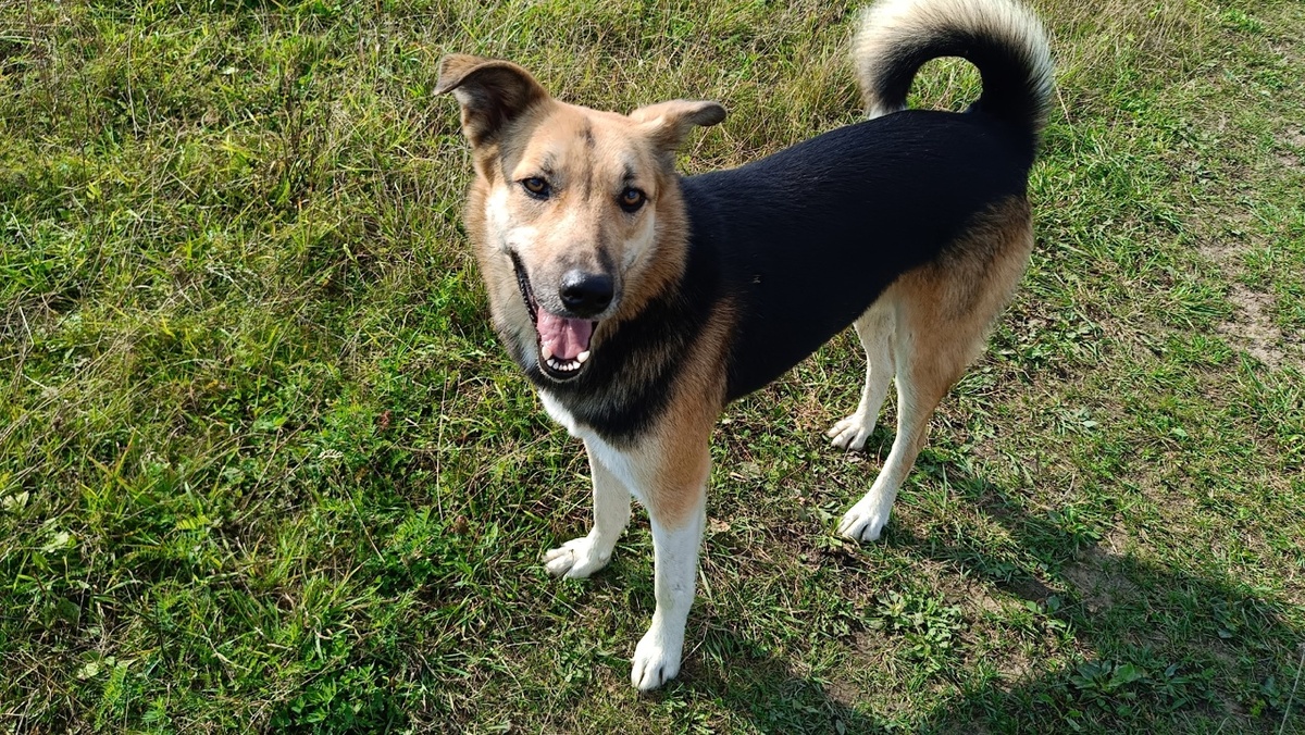 Главный завхоз утвердил!